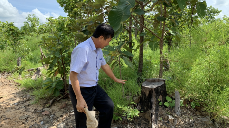 Thủ tướng sồr sền sơ wì, bơsong broă VOV yal bè kơl mus brê tàm Tây Nguyên
