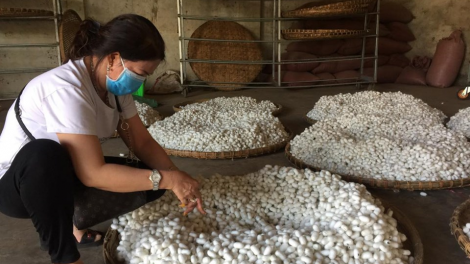 Lâm Đồng: Cau ròng tu ruồi brài gơtìp ua\ kal ke tu\ khà pria\ tap tu gơmù