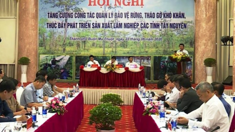 Tây Nguyên roh mờr 16 rbô lồ brê geh is