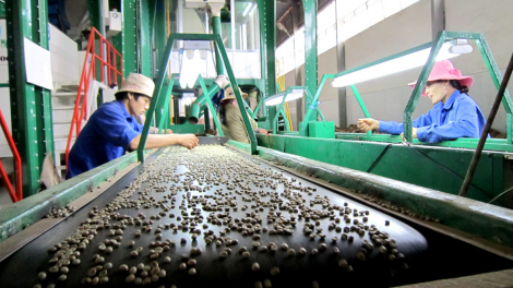 Dak Lak: Dong kờl pria\ cồng ai càn ai mpồl lơh sa kă bro bơcri tàm gah lơh sa sươn sre in