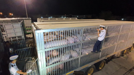 Sền gròi mờr 2 rbô 500 nơm sur blơi bơh lơgar Thái Lan