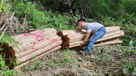 Gia Lai: Lơh glài kơnòl kơl mus brê tàm tiah nhàr dà lơgar Chư Prông