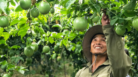 Lâm Đồng tơnguh bơta niam sơntìl chi tam
