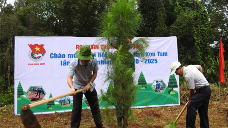 Kon Tum: Ai cau tam nho 3 nhai tàm gùng kùel Măng Đen