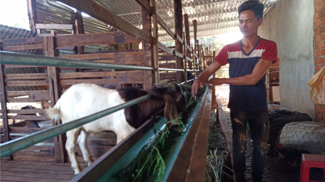 Gia Lai: Tam gơl phan tam – Brồ guh lơh sa tiah tờm tam tiêu Chư Pưh