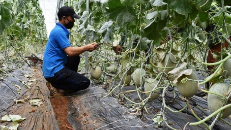 Dăk Nông lơh geh cồng nha uă bơh broă tam rơpung jàl