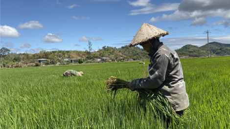 Tiah tờm lơh kòi sre tàm Dăk Lăk rcăng lài rcăng sơndră mờ trồ prang soăt dà kảl lơh kòi mrềt prang