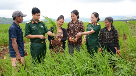 Jào Huân chương sền gàr dà lơgar ai kuang bàng tàm Binh đoàn 15 lài do in