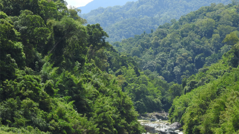 Bơta niam rài kis lơh sa mờ brê bơnơm tàm Đăk Psi