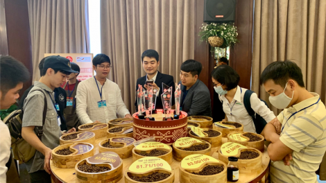 Lam sồr dơ\ pơrlòng kơphe bơkah lơgar Việt Nam nam 2021
