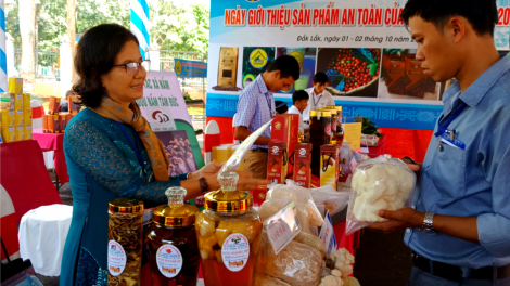 Càr Dak Lak: Ală cau lơh sa kă bro “lòt jơng” jơh nùs mờ broă lơh sa suơn sre kloh niam