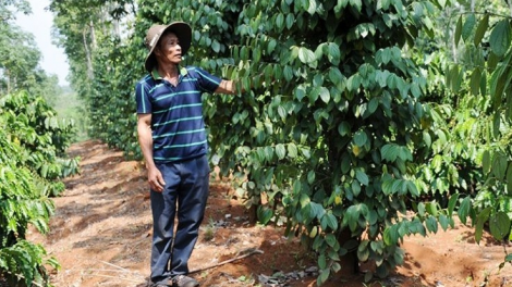 Kơnhoàl Dak Rlấp, càr Dak Nông tơrgùm tơnguh bơtàu phan geh lơh OCOP