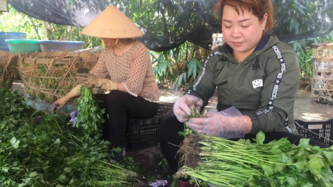 Lâm Đồng lơh wơl broă tam biăp, bơkàu tơnơ\ tơngai gơbàn kòp Covid-19