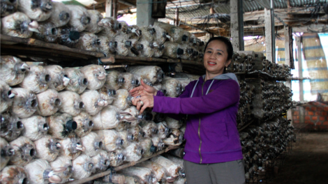 Kon Tum broă lơh tam bơsềt kloh tàm Diên Bình