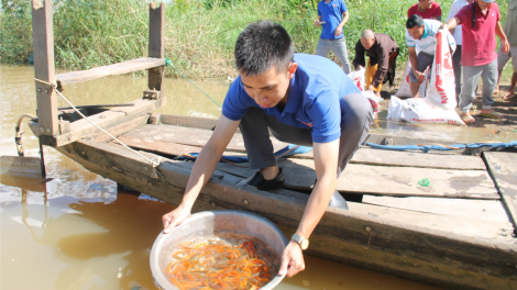 Dăk Lăk ròng bơtơl ka tàm dà