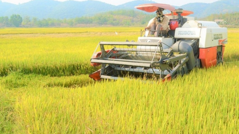 Cồng nha bơh ală sơntìl kòi pa tàm Dăk Nông