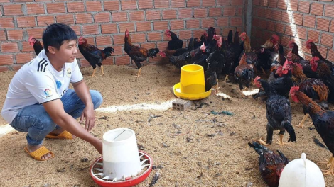 Lơh pas bơh ròng iar