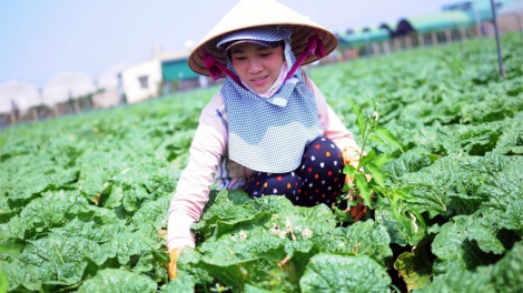 Lâm Đồng tơnguh uă priă phan lơh geh bơh sươn sre kơnờm bơh broă lơh bal lơh sa