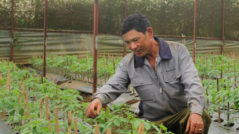 Lơh bal là broă tờm bơh lơh sa ngui công nghệ cao