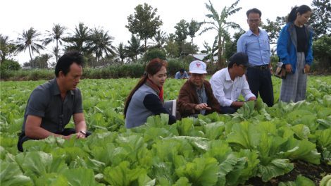Tam biăp, plai chi niam ờdo ờdă là gùng dà bơtàu tơnguh lơh sa pa tàm Gia Lai