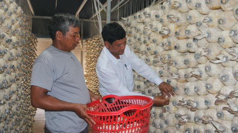 Lâm Đồng: Cau geh Đảng kòn cau lam lài mờ broă tam bơsềt