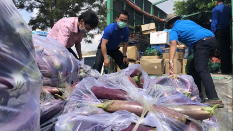 Lâm Đồng dong kờl mờr 29 rbô tấn phan lơh geh bơh sươn sre ai ală càr in rơcăng sơndră mờ kòp Covid-19