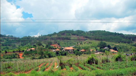 Cau Đảng viên geh bơngă pin dờn bơh [òn K’Long dê