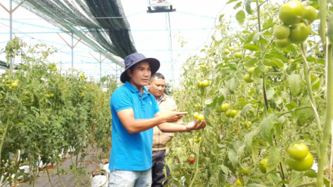 Lâm Đồng bơto pơlam lơh wơl broă lơh sa tàm bơta bè ờs pa