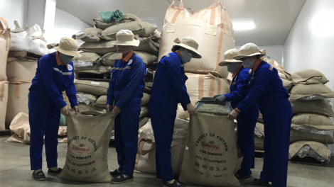Gơ rềng bơh kòp Covid-19 – Tac phan hờ lơgar ndai quý 1 bơh càr Dak Lak dê gơmù 20%
