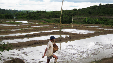 Bơhìan lơh yàng ờs mờng bơh cau K'Ho Sre dê
