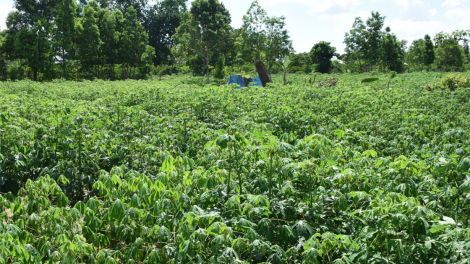 Kon Tum: Kơryan kòp croañ nha bùm blàng bơtờp uă