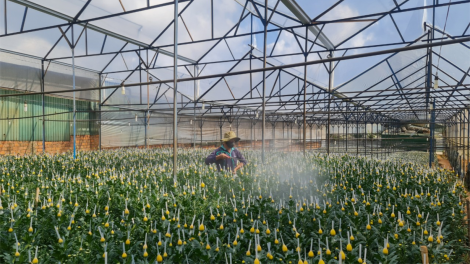 Phan lơh gơs bơh suơn sre gơguh khà priă, cau lơh broă sa Dà Làc lơh ngan bơtàu tơnguh wơl broă lơh sa