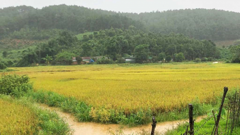 Cồng nha bơt bơtàu blàng sre dờng ơnàng tàm Đăk Tô càr Kon Tum