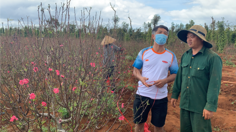 Bơkào đào ù pơr hê Tây Nguyên dê gơ hòi gơ jà năc