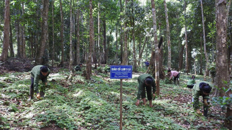 Kon Tum: Lơh jăt dơ̆ lam sồr lơh tam gơl nùs nhơm kơlôi sơnơng, broă lơh bơh làng bol kòn cau