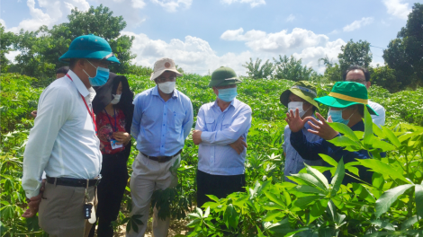 Kuang đơng lam càr Kon Tum lòt sền kòp croañ nha bùm blàng tàm càr do