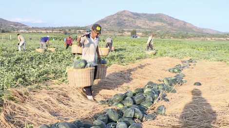 Kòp Covid-19 geh gròi sền, cau lơh broă sa Gia Lai chờ hờp tài bơh phan lơh geh bơh sươn sre tơnhàu geh uă mờ tăc geh yòm tai