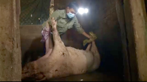 Gia Lai: Mhar kơrian kòp jê ndul gơjroh sur châu Phi