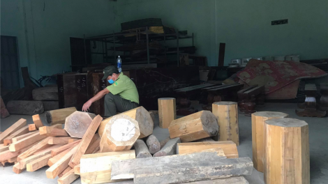 Gia Lai: Gŏ tai rơlao 18 khối dơm chi ờ gĭt loh anih lơh tàm anih prăp gàr phan mpồl lơh sa kă bro kơnhoàl Kbang
