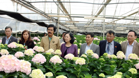 Gah lơh bơkàu Dà Làc, càr Lâm Đồng dê mờ ală pơlam gùng dà lơh sa kơ̆ kơl jăp