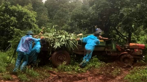 Dăk Lăk: Rài kis làng bol tiah gơtìp kơrian tàm ƀòn tiah ngài