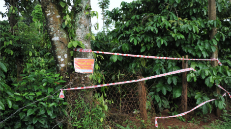 Krông Păc (Dăk Lăk) uă broă tam cah is cau rê bơh ală càr hờ đah jum dà lơgar