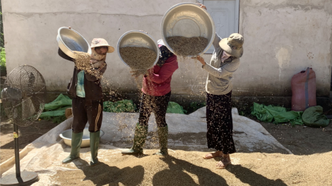 Dăk Lăk: Rơcang lài tam gơl nùs nhơm gơdờp bal ờ do ờ dă nàng lơh gơs “jơnau kờñ dơ̆ lĕ bal”