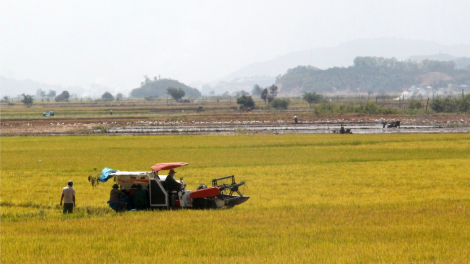Kàl hờm ram tàm ală ƀlàng sre BuônTriết tàm tiah kơh bơnơm Dak Lak dê