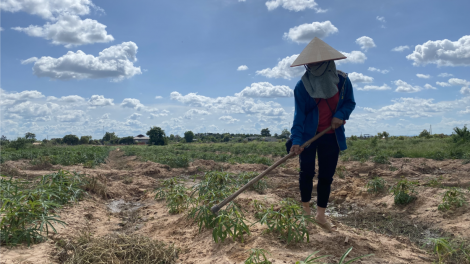 Dăk Lăk trồ prang soăt dà tàm gùl kàl mìu, rlau 9 rbô lồ ù tam phan geh pơhìn gơtìp sơrbì jơh ờ geh tơnhàu