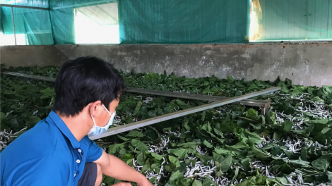 Dăk Nông broă tam tờm nha tu ròng tu ruồi brài gơ ai priă jền uă tàm Quảng Khê