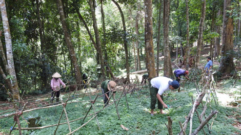 Kon Tum: sền gĭt bơta gơkòl, jòi broă lơh nàng gơ hòi gơ jà bơcri priă