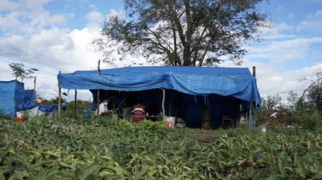 Cau lơh broă sa Gia Lai bòl glar tài bơh rpung kài gơmù giă