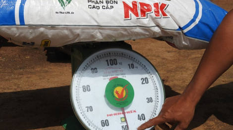 Kon Tum: Git gŏ dùl ròt ƀàu phơng dờng màng siñ họk An Thái NPK ờ tơl kĭ