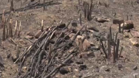 Dăk Lăk: Lơh loh kơnòl cau dùl nă să is, mpồl cau lời gơlik geh bơta mus kơl brê tìs mờ adat boh lam